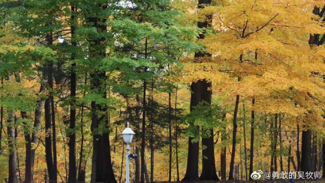 抖音赞自助平台：社交媒体内容算法更新引发热议_qq涨代网老马